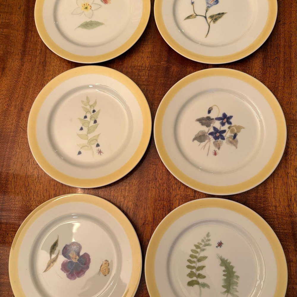 Set Of Six Williams Sonoma Summer Studies Botanical 7.75” Salad Plates Japan - Picture 3 of 7